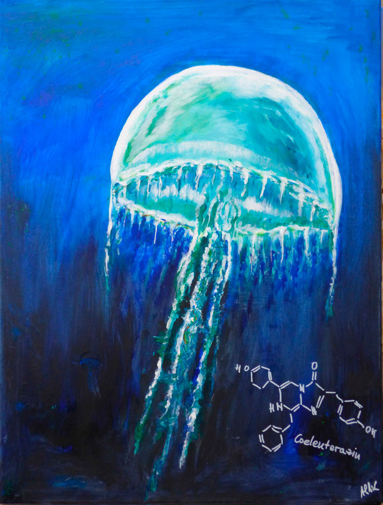 illuminated jellyfish 60x80cm Acryl and flourescent on canvas